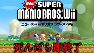 1回でも死んだら即終了。下ネタマリオWii 最終回