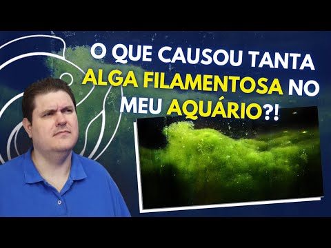 Vídeo: Controle de Algas - Dicas para o Controle de Algas em Lagos e Aquários