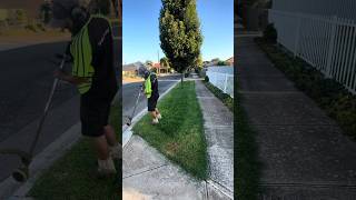 Nothing Better Than A Fresh Council Strip Clean Up