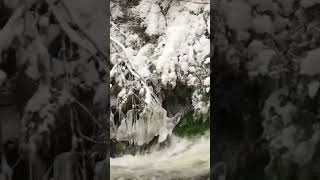 Winter 2 years ago beautiful snow & river #winter2022 #shortsfeed #shortsvideo #icicles