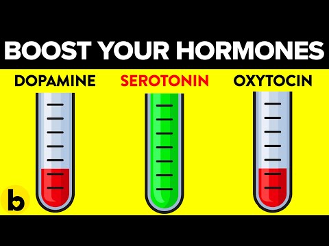 기분이 나쁠 때 호르몬을 증가시키는 10가지 방법