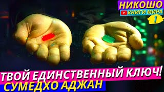 Единственный Ключ Который Необходим! Читтавивека - Учения Безмолвного Ума l НИКОШО и Аджан Сумедхо