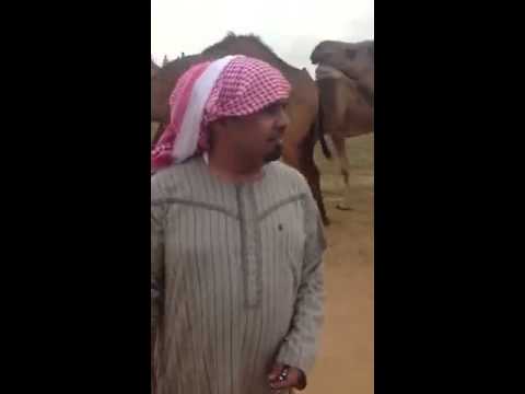 واضح غسيل أموال مافيا