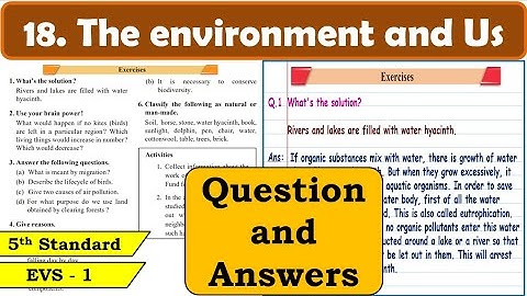 18. The Environment and Us | Question Answers | 5th standard | Environmental Studies Part 1