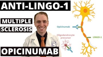 Remyelination with Opicinumab (Anti-LINGO-1) for Multiple Sclerosis [Phase II Trial Results]