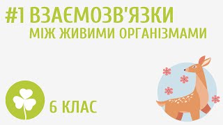 картинка: Взаємозв’язки між живими організмами #1