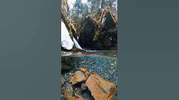 واتس اب قران كريم القارئ ياسر الدوسري من سورة (هود)