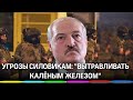 "Вытравливать калёным железом" - Президент Белоруссии рассказал  о методах борьбы с угрозами