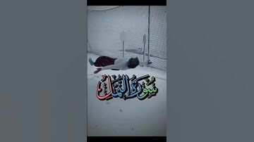 ماتيسر من سورة النمل القارئ #عبدالرحمن_مسعد 🌿