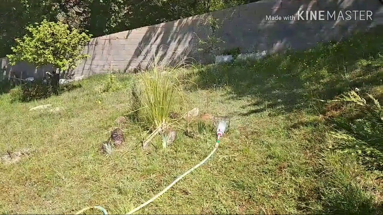 Дождевальная установка своими руками. Просто и доступно! - YouTube