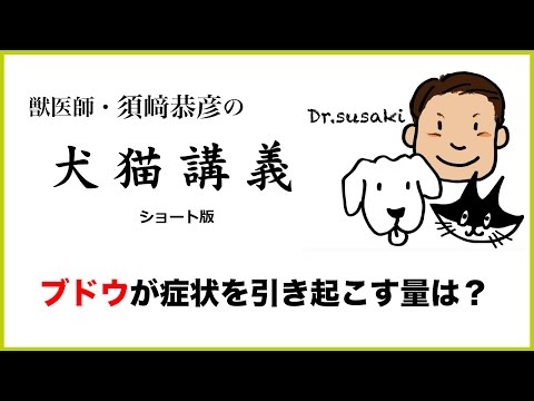 【須崎恭彦の犬猫講義】犬はブドウで腎不全？