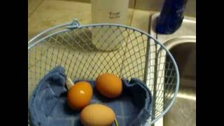 How I Clean Farm Fresh Eggs