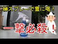 【霊障、念、邪気対策】オリジナル榊スプレーの作り方
