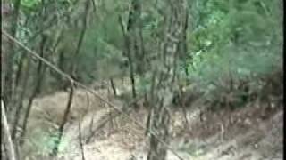 Brown Mtn 20090626 2