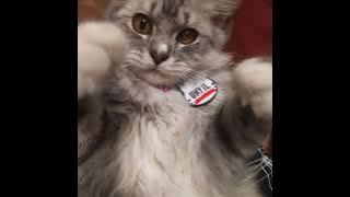 Maroon 5 - Daylight (sped up)