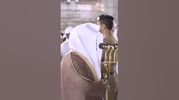 بديع السماوات والأرض أنى يكون له ولد~تلاوة آسرة بصوت الشيخ ياسر الدوسري #تلاوات_ديسمبر