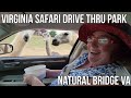Virginia Safari Park Drive-Thru Adventure Natural Bridge 2021