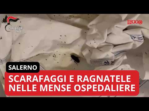 Video Blitz dei Nas nelle mense ospedaliere: scarafaggi, muffe e ragnatele