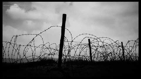 Barbed Wire Spline Tool  /UE4