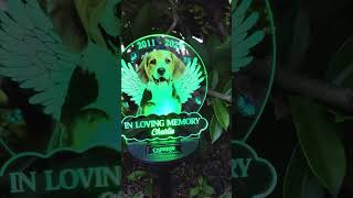 Keep Your Furry Friend's Memory Aglow | Personalized Solar Light | Memorial Gift for Pet Lovers
