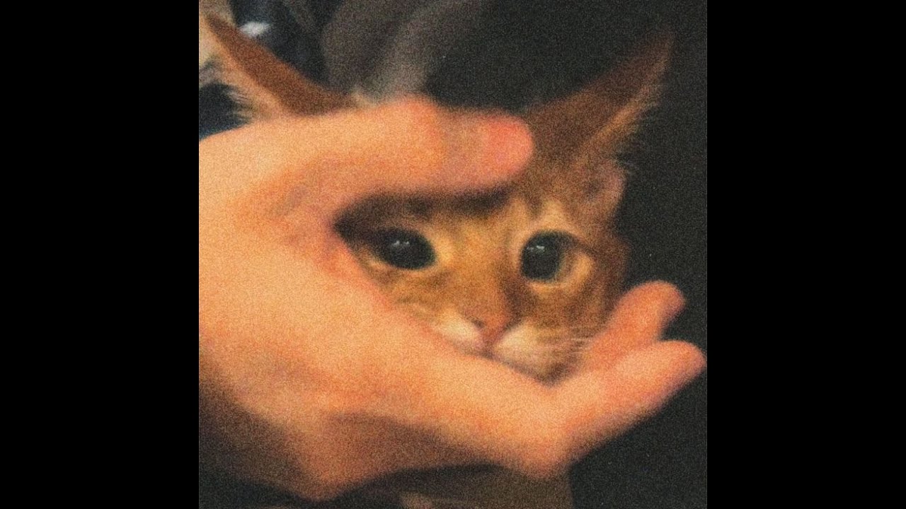 Venny x new jazz Type beat 