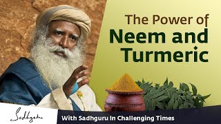 The Power of Neem and Turmeric | Sadhguru