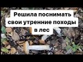 Грибное чудо. Собрала несколько килограмм подосиновиков  за полчаса.