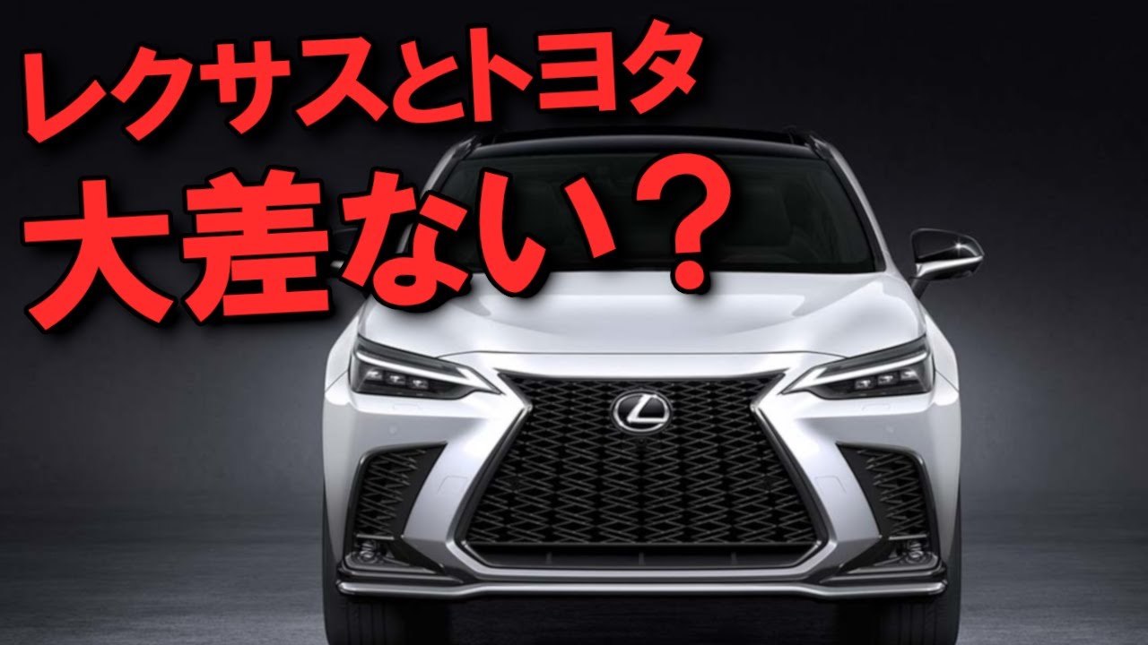 レクサスの車買った時にもらったレクサスのオーガニックワイン　イタリア製未開封 I bought a Lexus NX and received a ton of gifts, so I'd like to