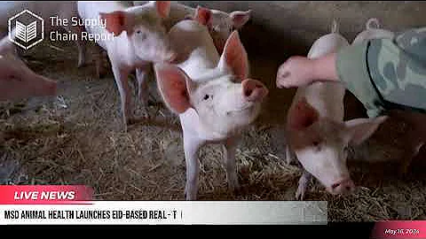 The Supply Chain Report News Roundup - 16th May 2024