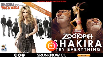 Shakira - Waka Waka (This Time for Africa) / Try Everything (Mashup)
