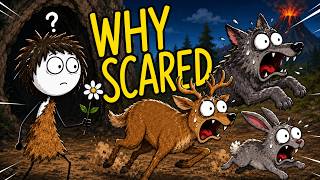 Why Are Animals Scared of Humans? Explained