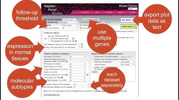 What is the KMplotter