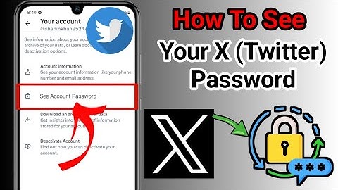 How To See Your X (Twitter) Account Password If Forget It (2025 update) | See Twitter Password