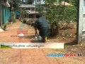 Sivankutty ready election wall writting