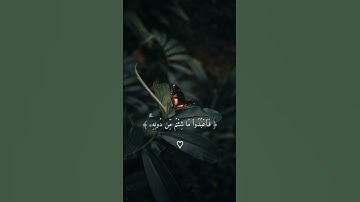 《 قل إني أخاف إن عصيت ربي عذاب يوم عظيم》❤️🍃 | محمد طه #اكسبلور#سورة_الزمر #محمد_طه   #explore
