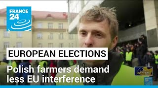 European elections: Polish farmers demand less EU interference ahead of vote • FRANCE 24 English