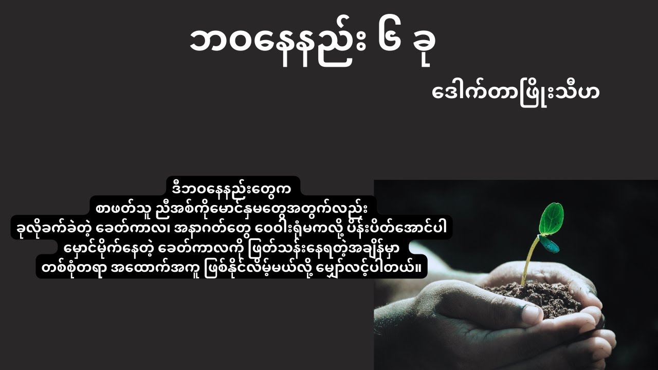 ဘဝနေနည်း ၆ ခု ၊ ဒေါက်တာ ဖြိုးသီဟ