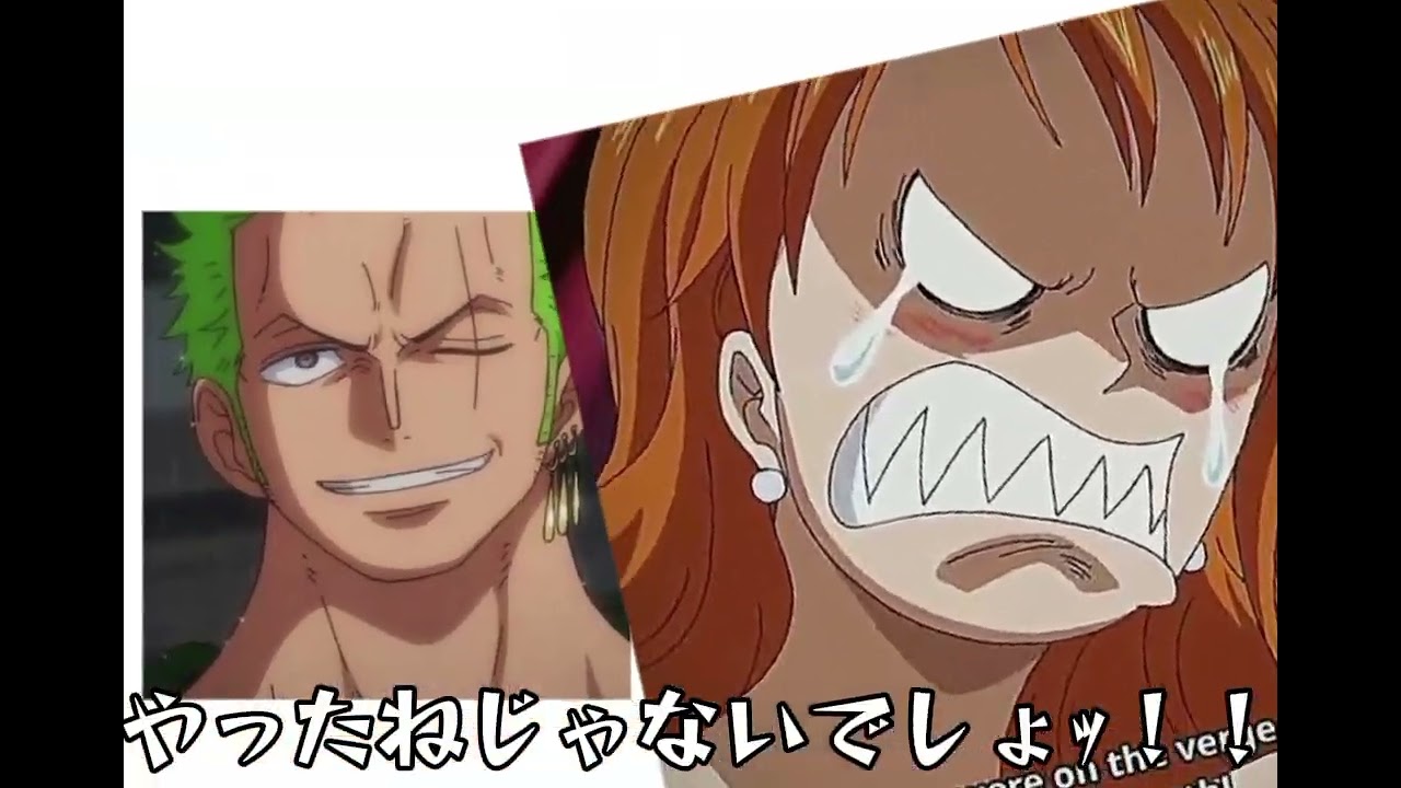 解釈一致すぎるw#テンプレートお借りしました#ナミ#ゾロ