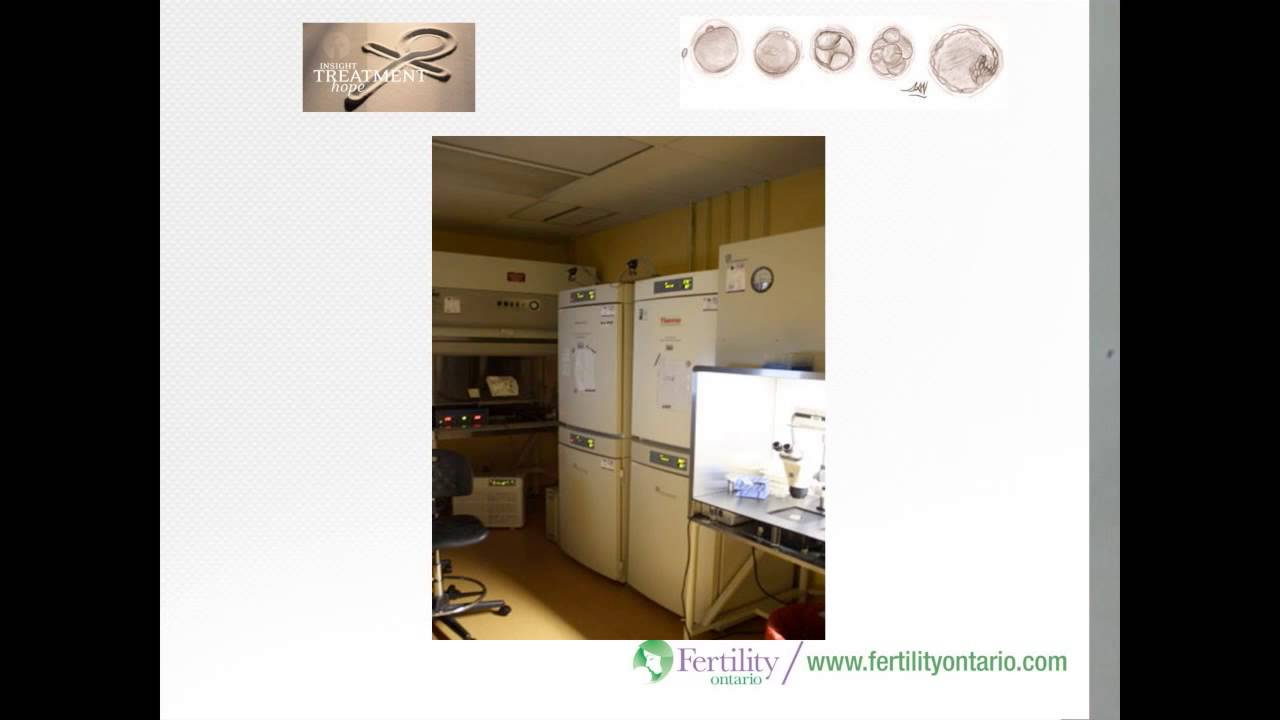 Single and Loving It - The Benefits of Reducing Multiple Pregnancies