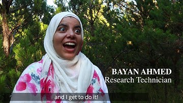 Diversify Wildlife (student-produced film)