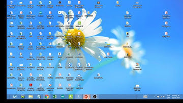 Clase 2. QM for Windows (Programación Entera)
