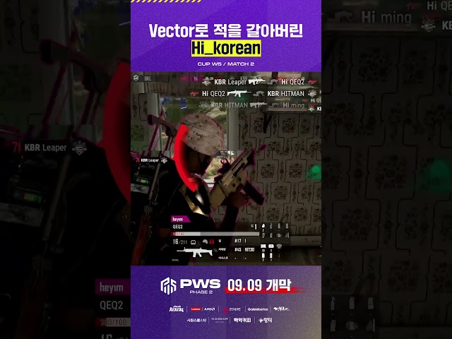 "들어오게 놔두면 이렇게 됩니다" ???? Vector로 적을 갈아버린 Hi_korean