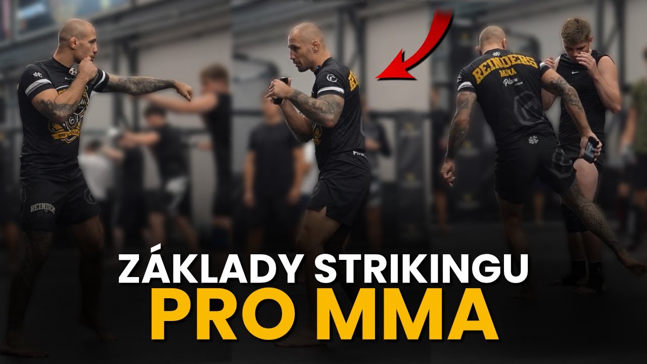 MMA Striking: základy pohybu, úderů a kopů