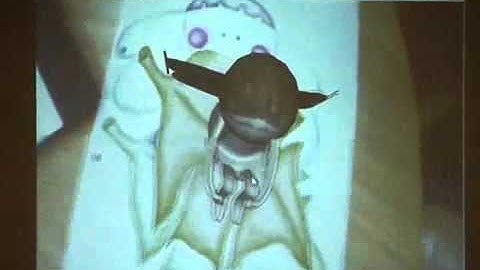 Natural Ubiquitous Texture Tracking System (2006)