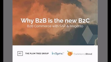 Webinar on B2B eCommerce through Magento - InSync Tech-Fin Solutions