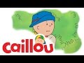 Caillou Caillou The Jungle Explorer S01E62 Videos For Kids Caillou Caillou The Jungle Explorer S01E62 Videos For Kids