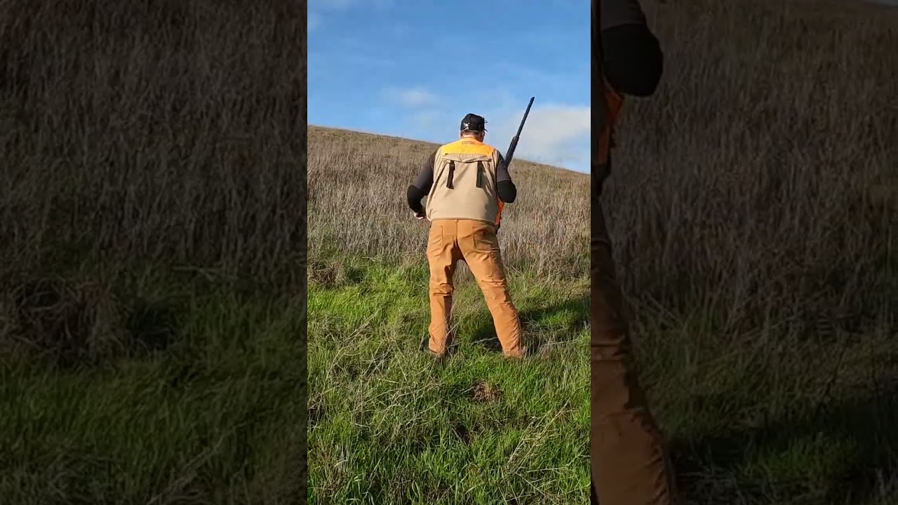 Без ветра сохранять след становится непросто! 