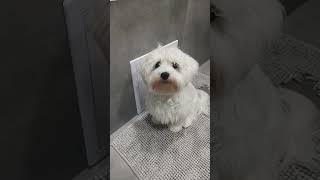 https://tiktok.com/@bbbbenbbbb