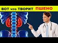 Вот так ПШЕНО влияет на организм! 90 % людей этого не знают , а зря !