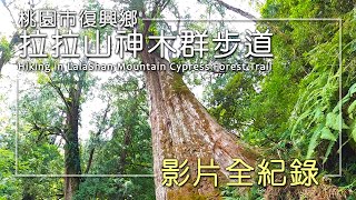 【旅遊紀事】拉拉山自然保護區 神木群步道 Hiking in LalaShan Mountain Cypress Forest Trail Reserve, Fuxing Taoyuan Taiwan